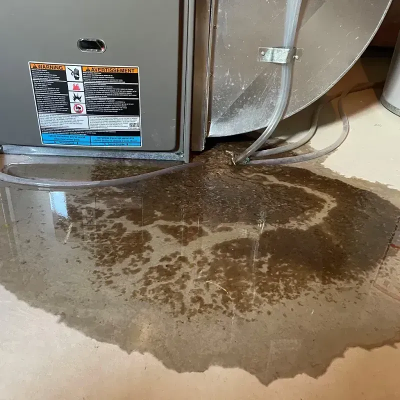 Appliance Leak Cleanup in Assumption Parish, LA